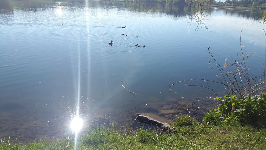 La Freissinouse Camping La Motte Flottante מראה חיצוני תמונה