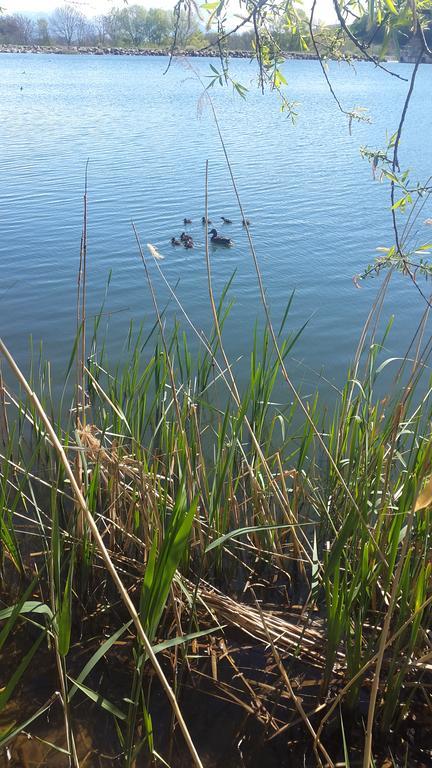 La Freissinouse Camping La Motte Flottante מראה חיצוני תמונה