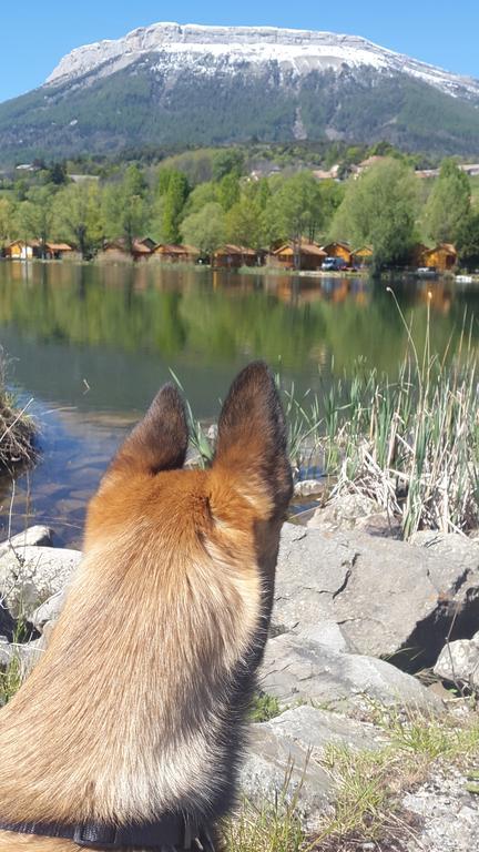 La Freissinouse Camping La Motte Flottante מראה חיצוני תמונה